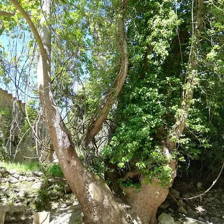 Glamping Lappa Nature Aryiroúpolis